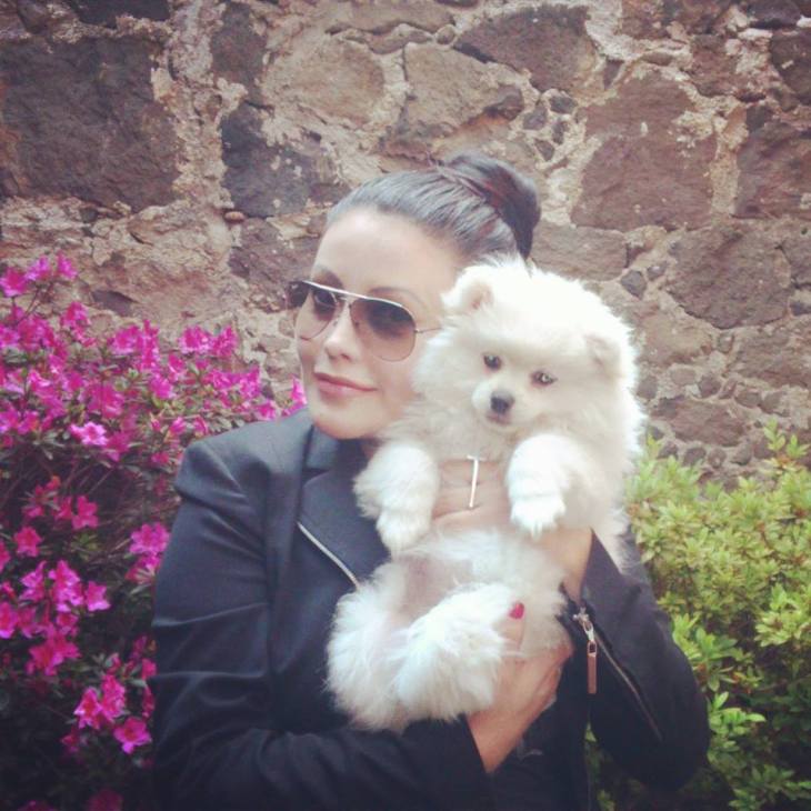 972623_10151495158767762_395949655_n