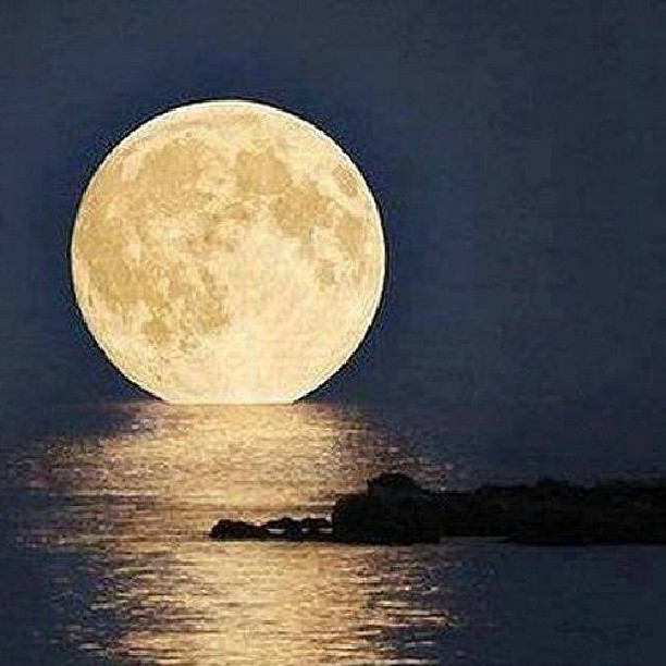 1001186_10151609248592762_2055328052_n