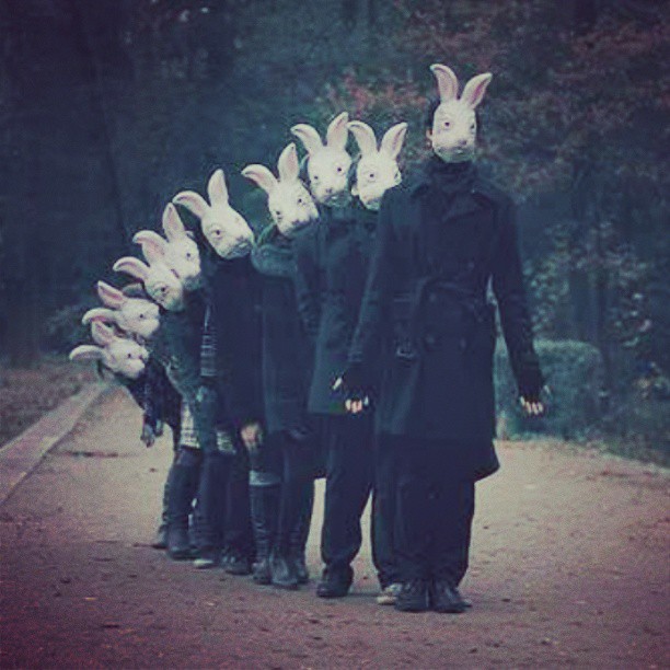 1005099_10151586189202762_214320217_n