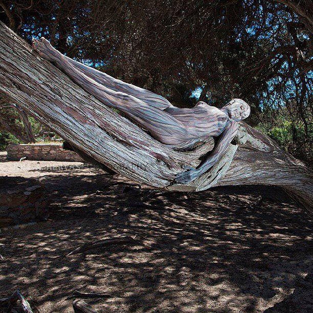 1013552_10151611033882762_36676216_n