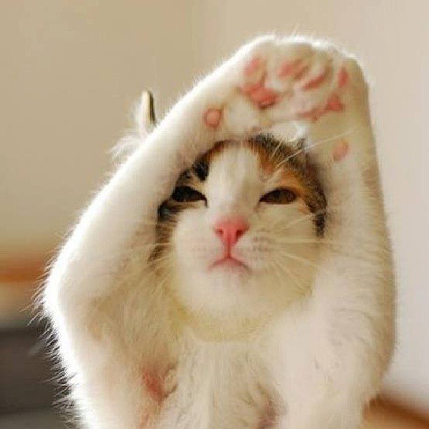 601972_10151630369457762_102870041_n