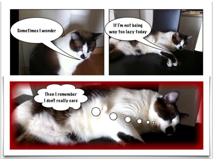 969798_10151771662976068_1752936972_n