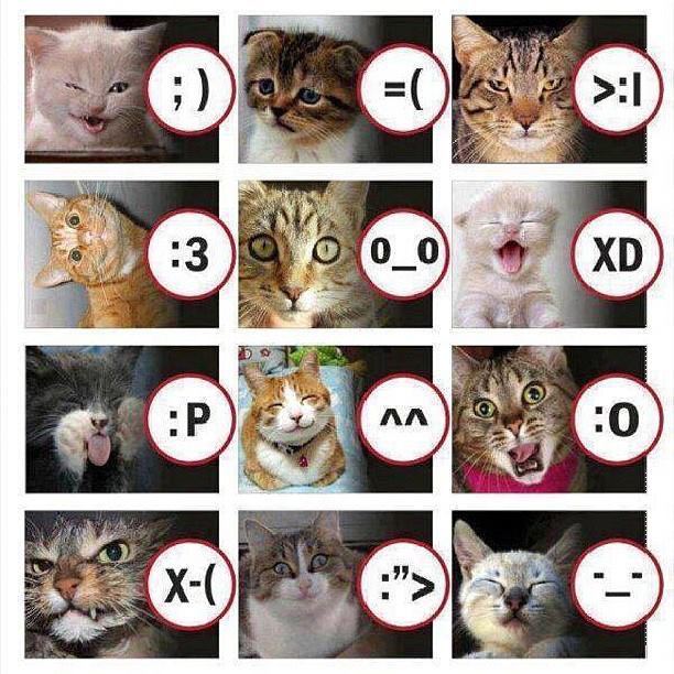 999354_10151609377937762_488111281_n