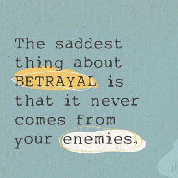 1017175_10151639321512762_1393898141_n