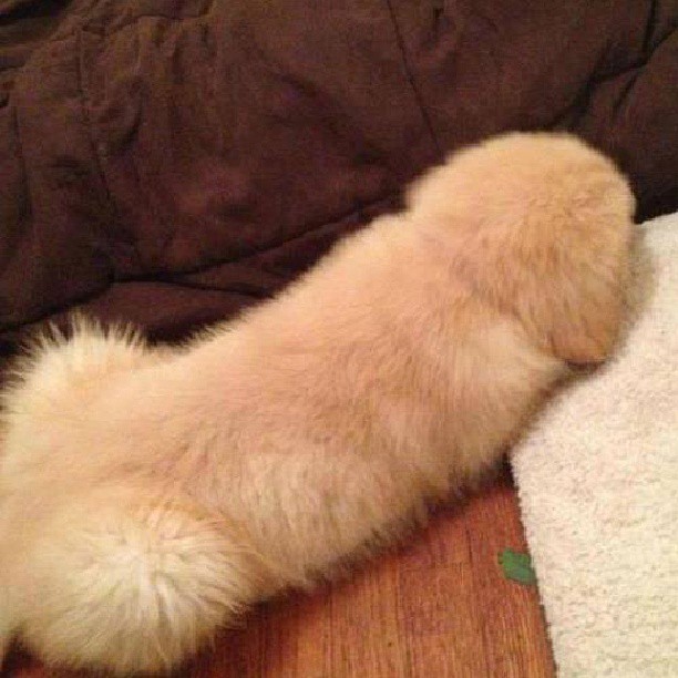 1017210_10151635874732762_2005384636_n