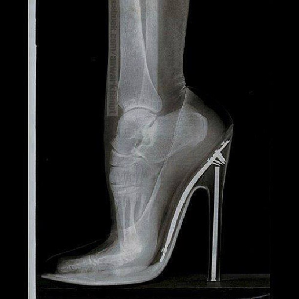 558010_10151670370467762_1742583080_n