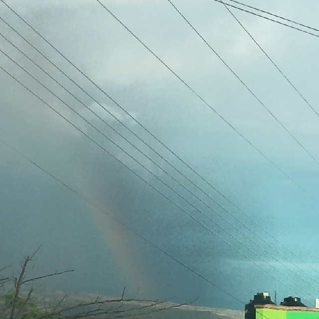 1460202_10151844412867762_1472802163_n