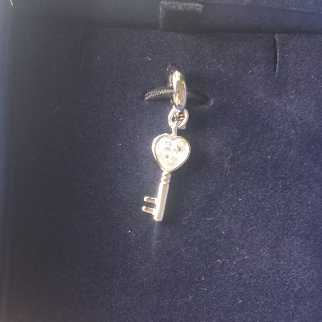 Swarovski charm