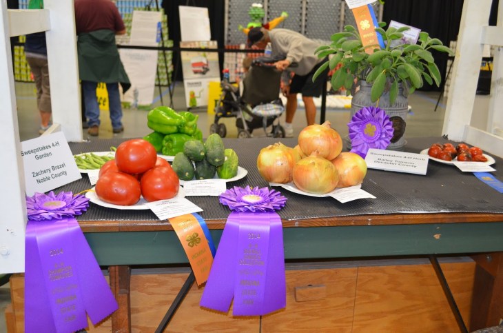 chicago_indiana_roadtriplook11