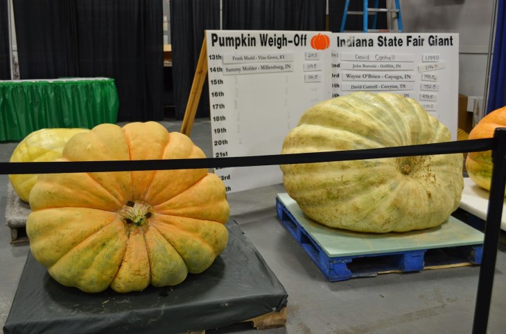 chicago_indiana_roadtriplook4