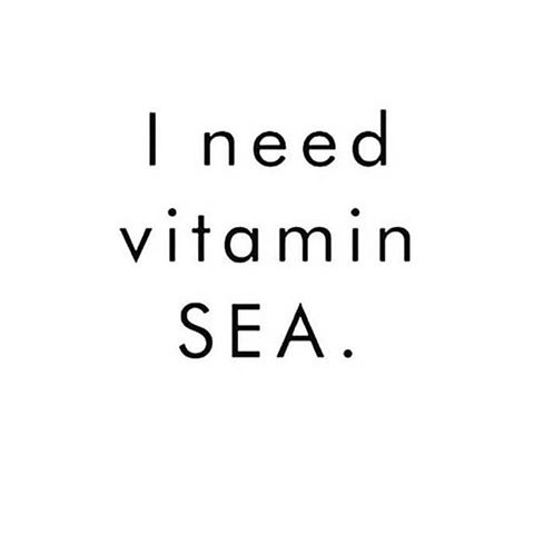 13232927_1130695603661357_3319809702232418265_n