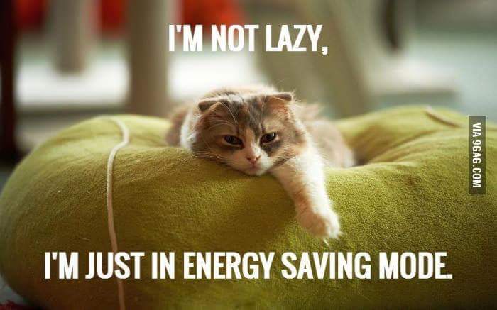 IM NOT LAZY IM JUST IN ENERGY SAVING MODE